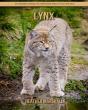 Lynx - Preview