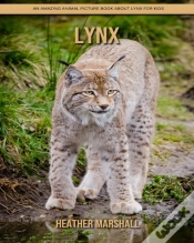 Capa do artigo Lynx