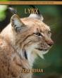 Lynx - Preview