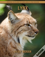 Capa do artigo Lynx