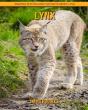 Lynx - Preview