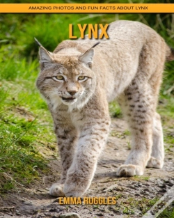 Capa do artigo Lynx