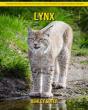 Lynx - Preview
