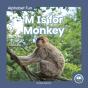 M Is For Monkey - Preview