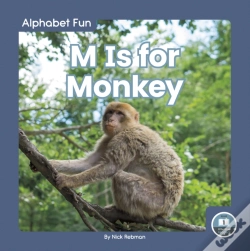 Capa do artigo M Is For Monkey
