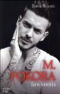 M Pokora - Preview