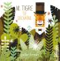 M. Tigre Se Dechaine - Preview