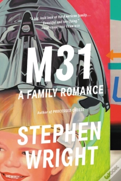 Capa do artigo M31
