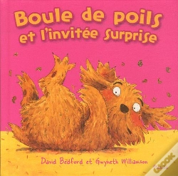 Capa do artigo Ma 1ere Bibliotheque/Boule De Poils Et L'Invitee Surprise