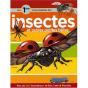 Ma 1ère Encyclopédie Des Insectes Et Autres Petites Bêtes - Preview