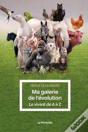 Capa do artigo Ma Galerie De L