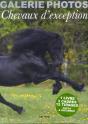 Ma Galerie De Photos De Chevaux - Preview