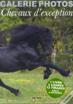 Capa do artigo Ma Galerie De Photos De Chevaux