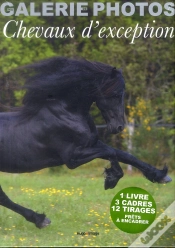 Capa do artigo Ma Galerie De Photos De Chevaux