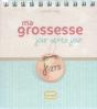 Ma Grossesse Jour Après Jour, J-273 - Preview