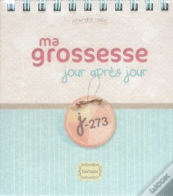 Capa do artigo Ma Grossesse Jour Après Jour, J-273