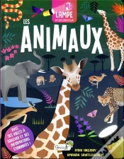 Capa do artigo Ma Lampe D