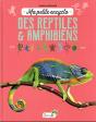 Ma Petite Encyclo Des Reptiles Et Amphibiens - Preview