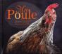 Ma Poule - Preview