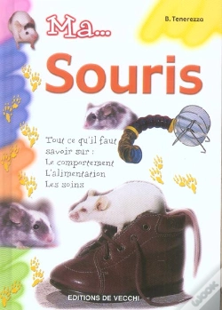 Capa do artigo Ma... Souris