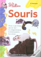 Capa do artigo Ma... Souris