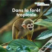 Ma Terre En Couleurs : Dans La Forêt Tropicale