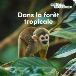 Capa do artigo Ma Terre En Couleurs : Dans La Forêt Tropicale