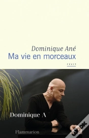 Capa do artigo Ma Vie En Morceaux