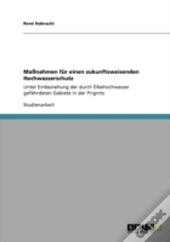 Maaynahmen Far Einen Zukunftsweisenden Hochwasserschutz