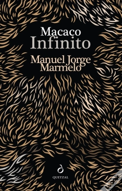 Capa do artigo Macaco Infinito