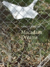 Capa do artigo Macadam Dreams