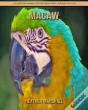 Macaw