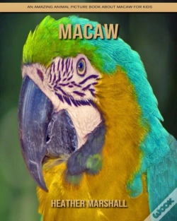 Capa do artigo Macaw