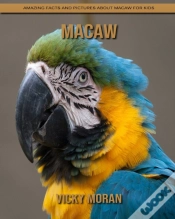 Capa do artigo Macaw