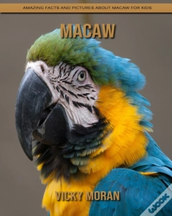 Capa do artigo Macaw
