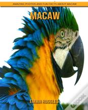 Macaw
