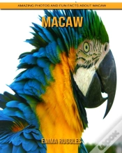 Capa do artigo Macaw
