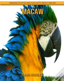 Capa do artigo Macaw