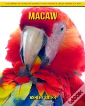 Macaw