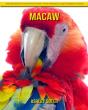 Macaw - Preview