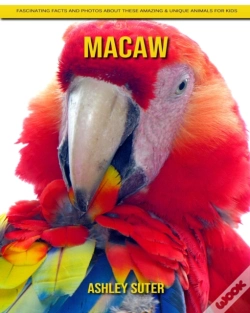 Capa do artigo Macaw