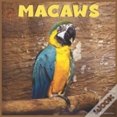 Macaws 2022 Calendar