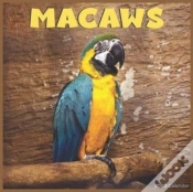 Capa do artigo Macaws 2022 Calendar