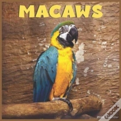 Capa do artigo Macaws 2022 Calendar
