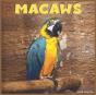Macaws 2022 Calendar - Preview