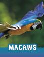 Macaws - Preview