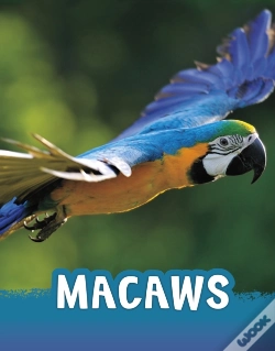 Capa do artigo Macaws