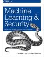 Machine Learning And Security - Preview