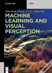 Capa do artigo Machine Learning And Visual Perception