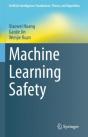 Machine Learning Safety - Preview